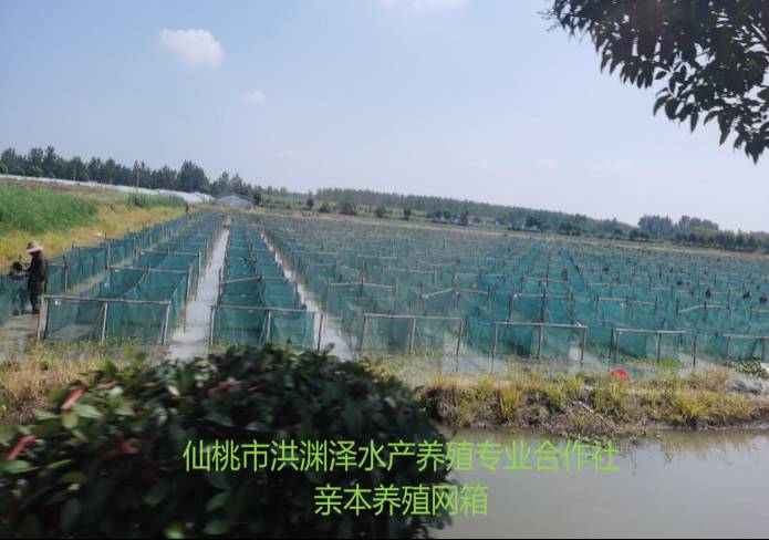 人生就是博-尊龙凯时中国官网
