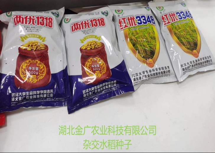 人生就是博-尊龙凯时中国官网
